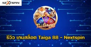 รีวิว เกมสล็อต Taiga 88 - Nextspin